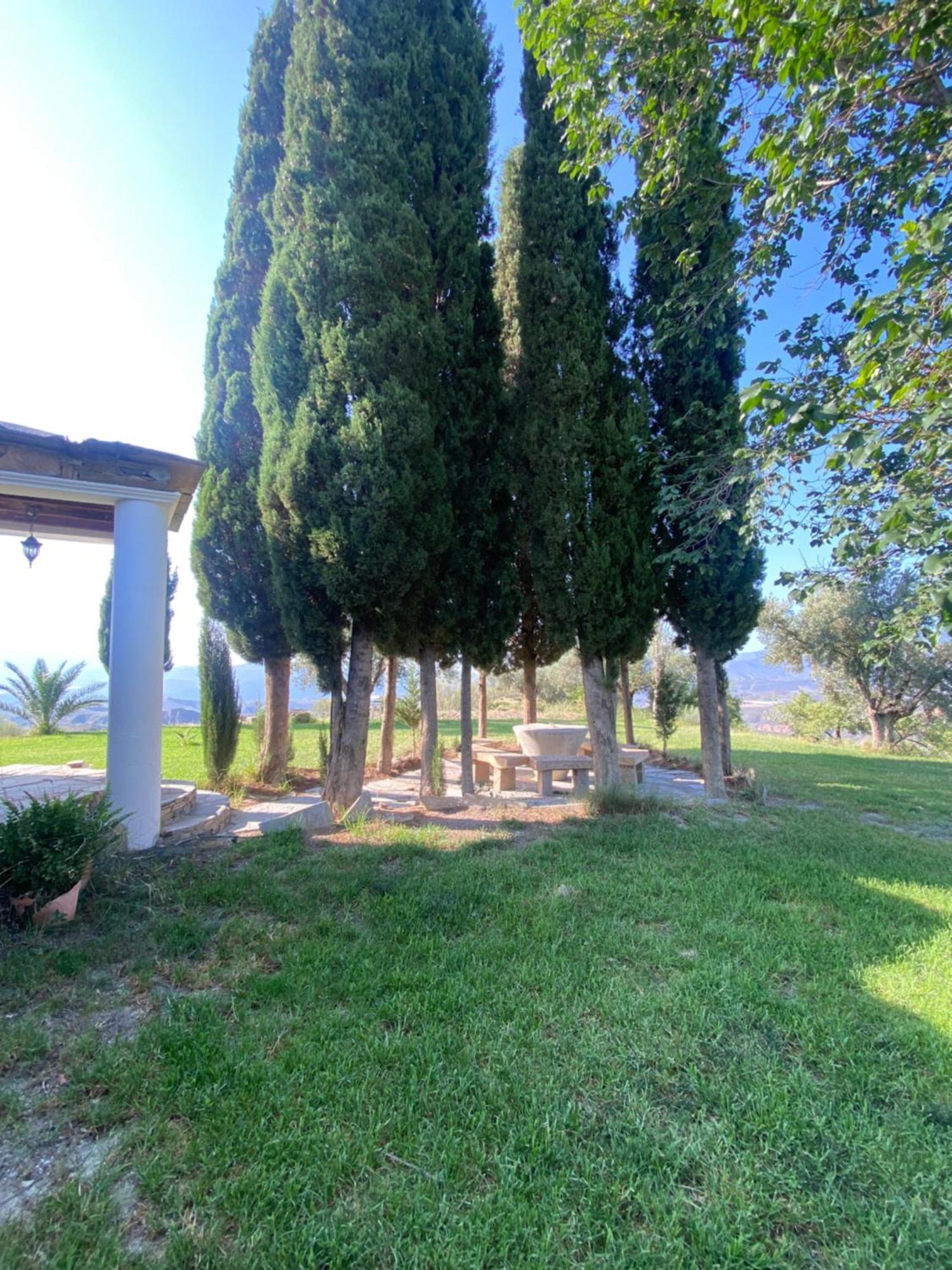 Casa El Higueral Villa Mecina Alfahar Buitenkant foto